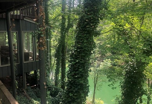 LakeFront Allatoona Great View&w/Dock,sleeps10adults/2 kids,Deck-7mi @LakePoint!