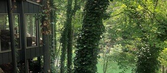 LakeFront Allatoona Great View&w/Dock,sleeps10adults/2 kids,Deck-7mi @LakePoint!