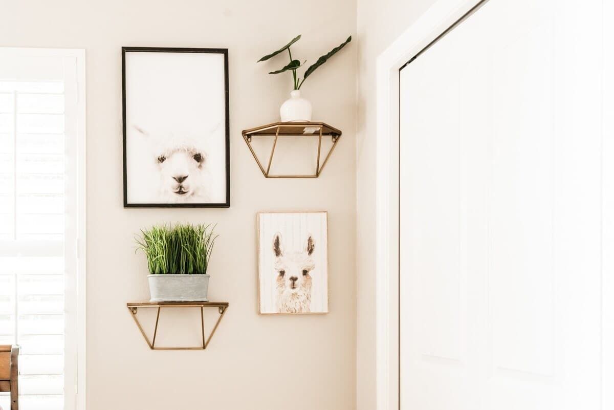 Un mur orné de trois tableaux encadrés, d’une plante en pot et d’un vase.