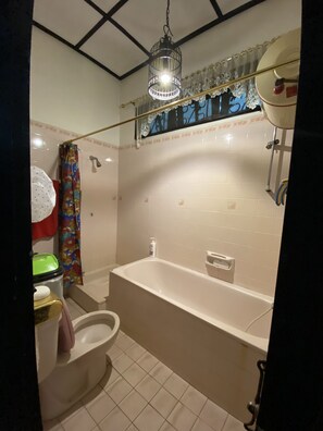 Combined shower/tub, bidet