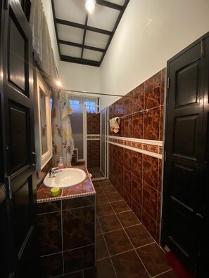 Combined shower/bathtub, bidet