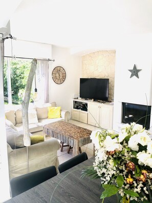Fernseher, Kamin, DVD-Player, Bücher