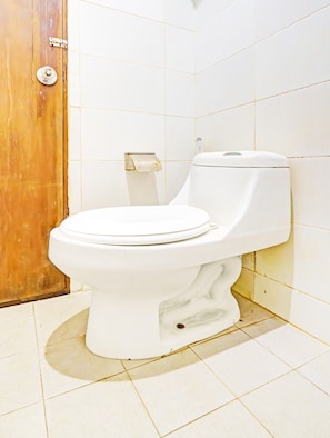 Shower, bidet, towels, soap