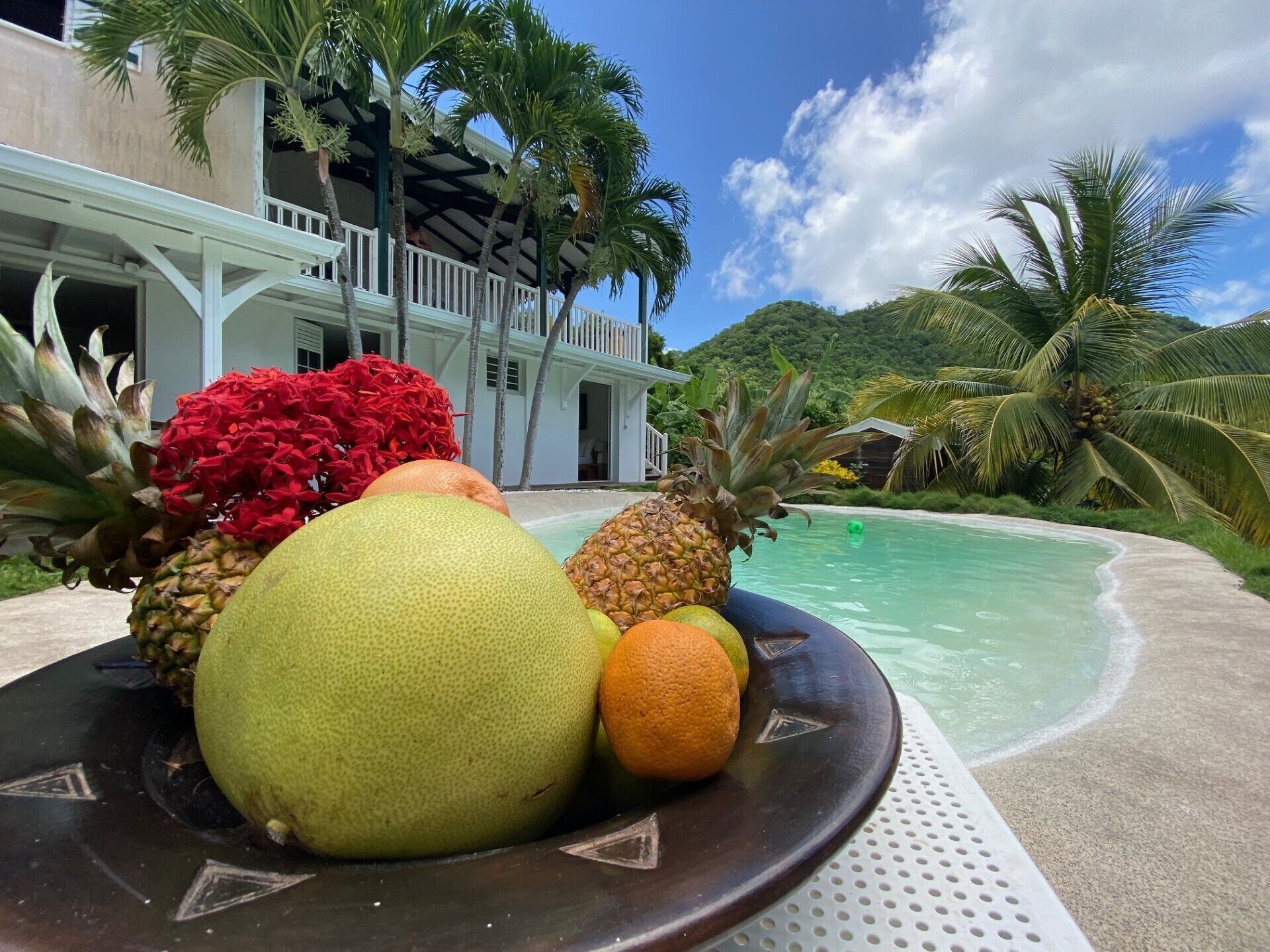 حمّام سباحة خارجي