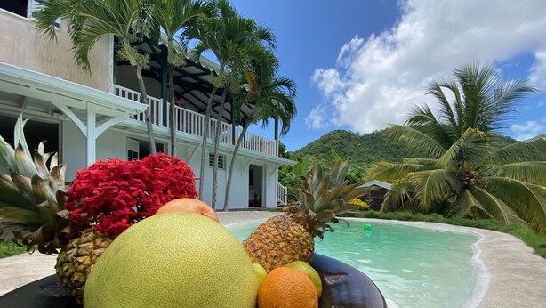 Un complexe hôtelier tropical doté d’une piscine, de palmiers et d’un panier de fruits contenant des ananas, des goyaves et des oranges.