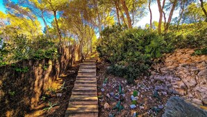 A stone pathway leading through a forested area with trees and shrubs. - Villa "Cala Llamp" with Panoramic Sea Views (PORT ANDRATX)