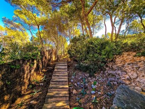 Property grounds - Villa "Cala Llamp" with Panoramic Sea Views (PORT ANDRATX)