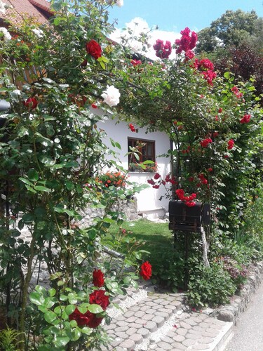  Bright apartment "In the Green" for 6-8 people near Lake Constance