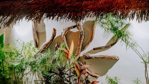 Un jardín tropical con diversas plantas y una estructura de techo de paja.