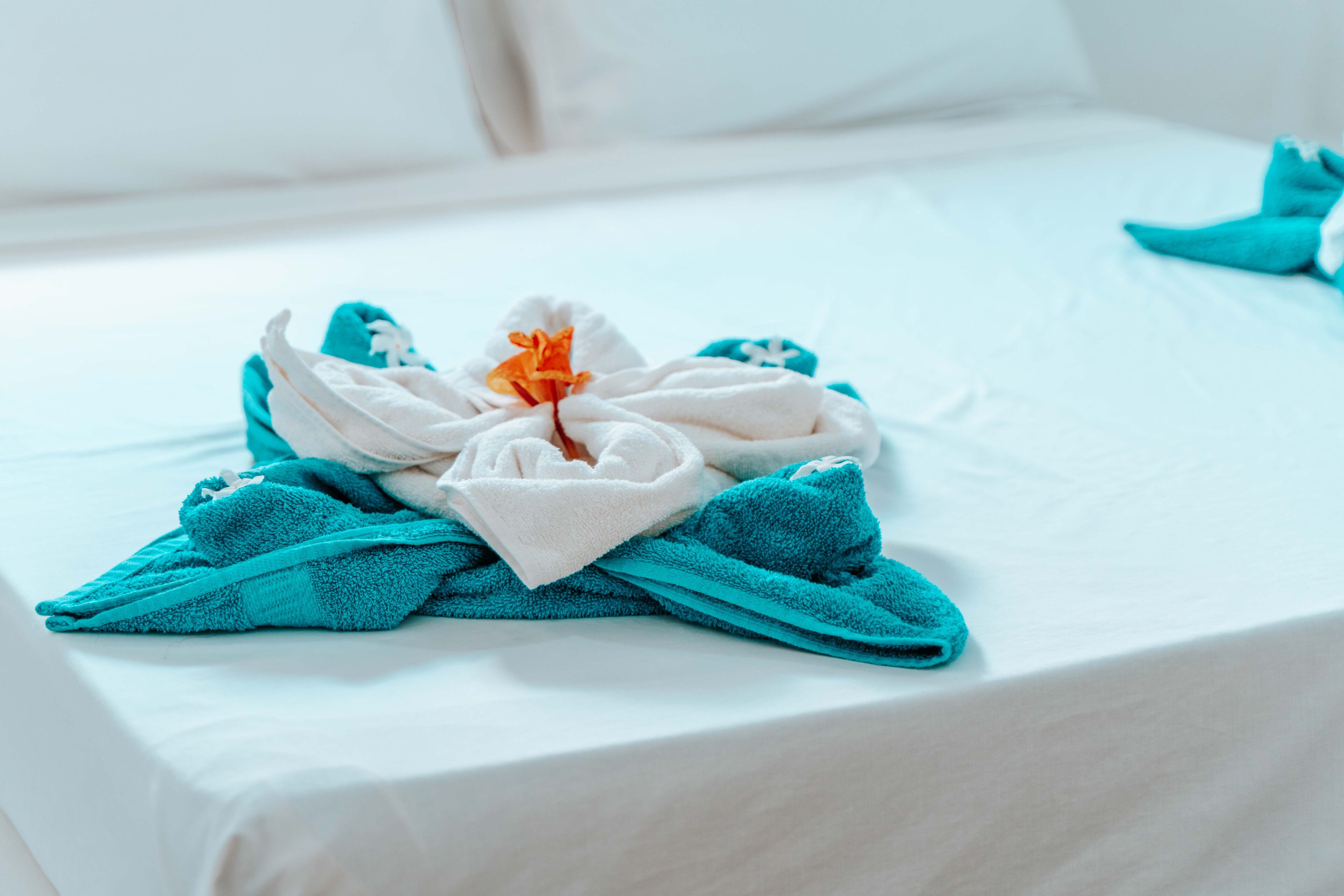 Apartment | 2 bedrooms, in-room safe, desk, laptop workspace