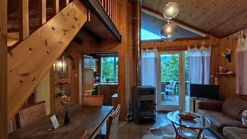 Televisión, chimenea y libros