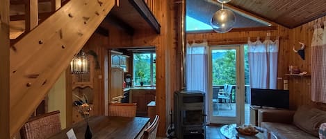 TV, fireplace, books