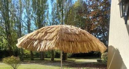 Charmant studio parc logement seul