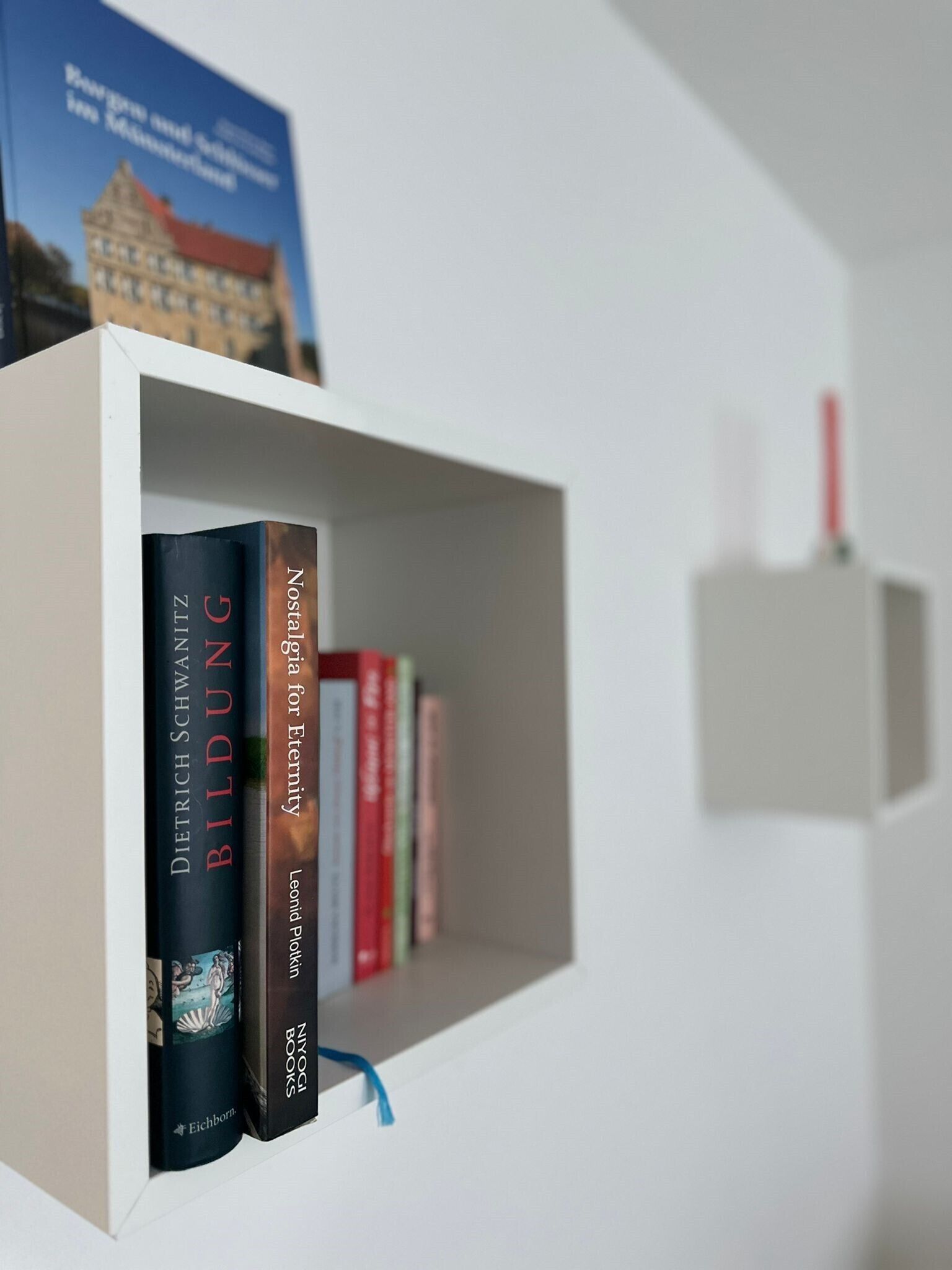 A bookshelf with books and a candle.