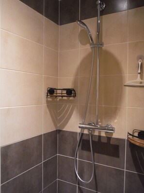 Shower, hair dryer, toilet paper