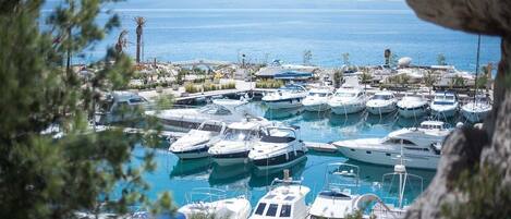 Marina