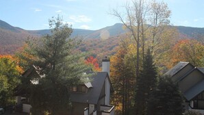 Ein Wohngebiet mit Häusern, umgeben von herbstlich gefärbten Bäumen und einem Berg im Hintergrund.