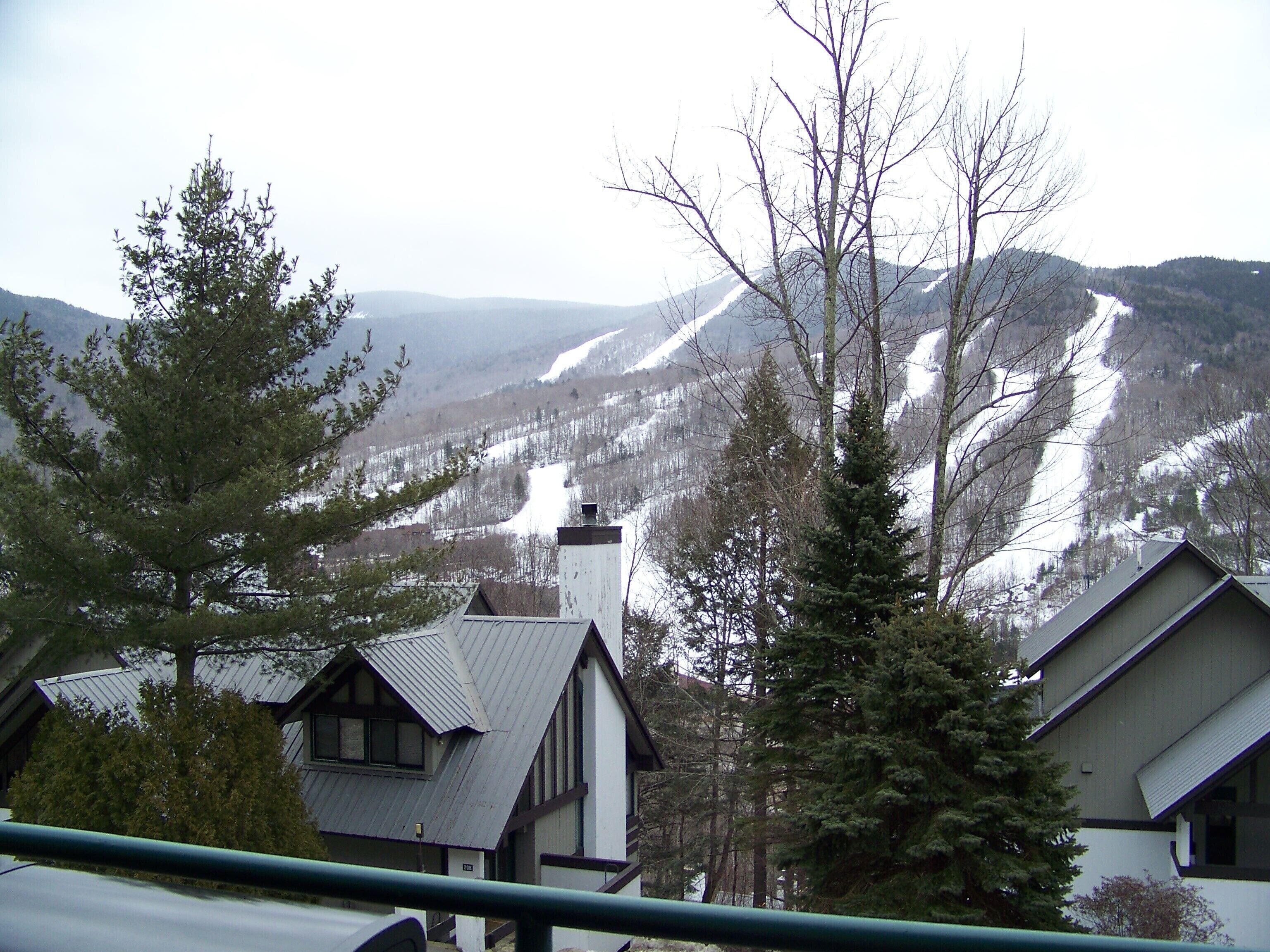 A residential area with houses and a mountain backdrop.