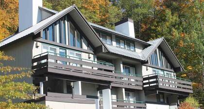 5 bedroom Townhouse: Incredible Views of Loon Mtn.