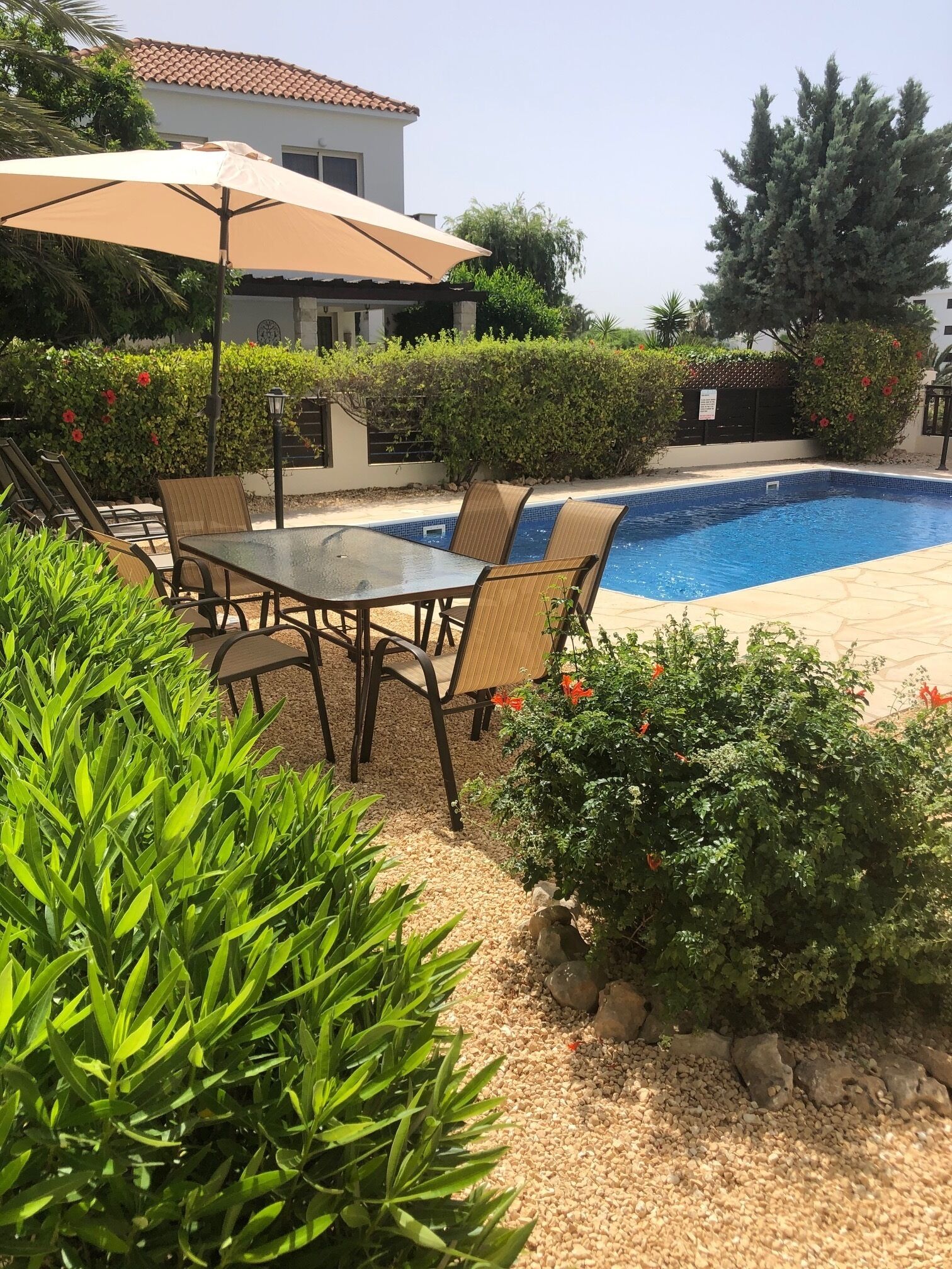 屋外プール、温水プール