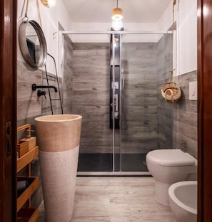 Shower, free toiletries, hair dryer, bidet