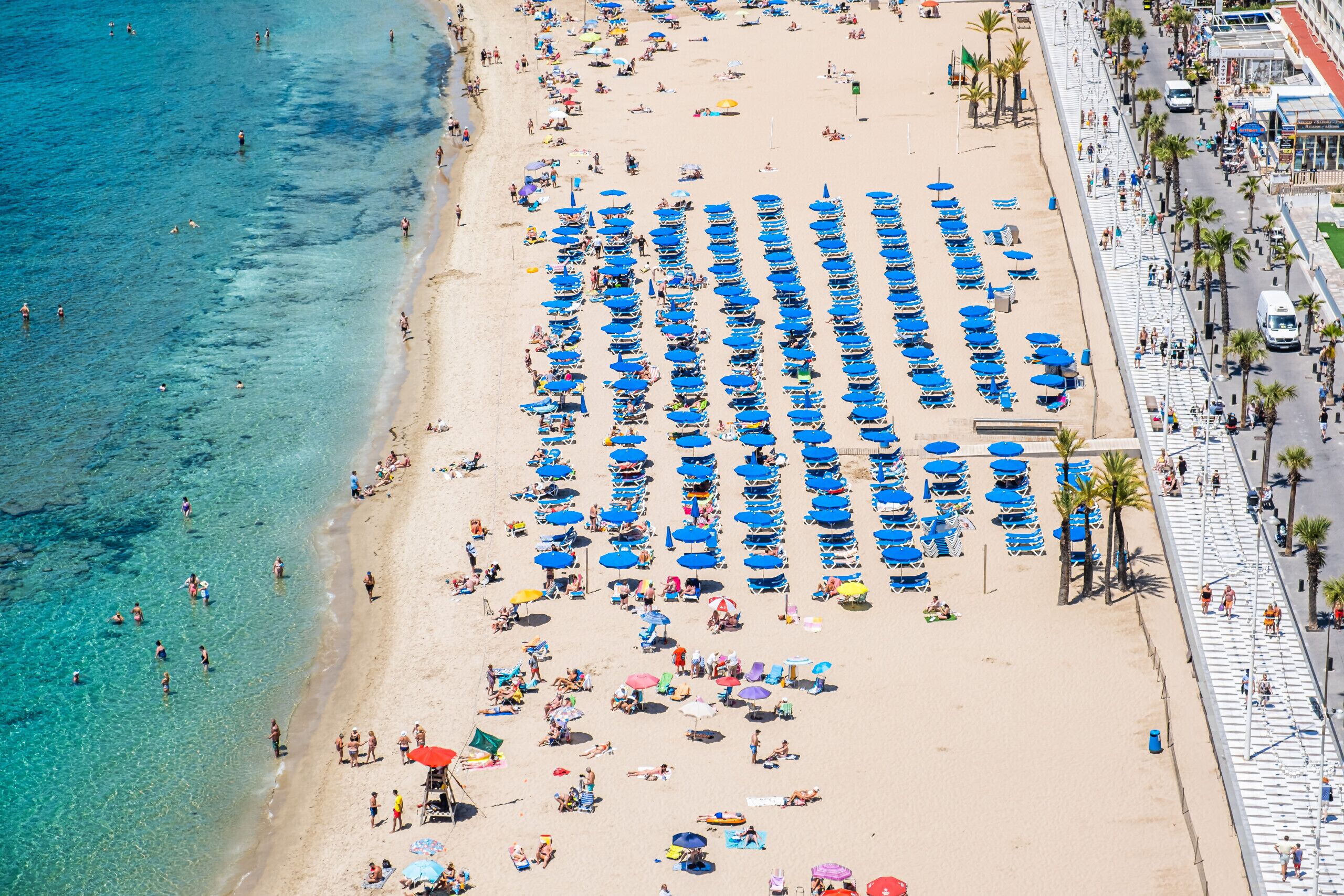Una playa con hileras de sombrillas azules y gente tomando el sol.