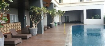 マホガニー×サギタカラワン