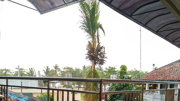 A covered outdoor area with a pool, metal railing, and a palm tree. - Hotel Abad Baru 1 (Pangandaran)
