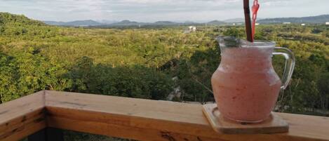 标准房 | 阳台景观