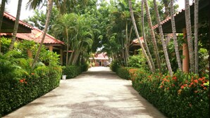 A pathway flanked by lush greenery and red flowers, leading to a building with a red-tiled roof. - Busaba House (Pattaya)