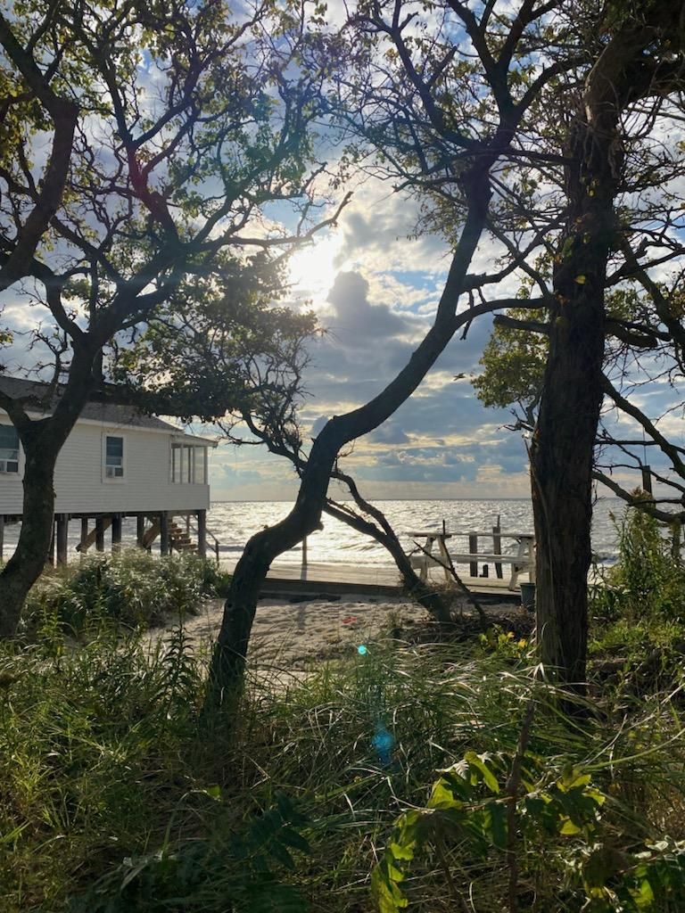 Una casa frente al mar, rodeada de árboles y vegetación.