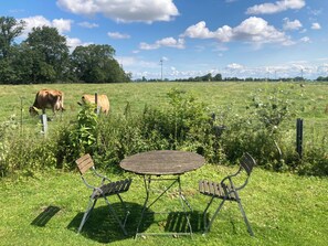 A grassy field with a metal table and chairs, surrounded by vegetation and a fence.