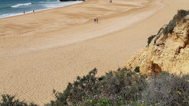 A wide sandy beach with gentle waves, a clear sky, and a distant town. - 211- Amazing garden level Apartment - fantastic location (Albufeira)