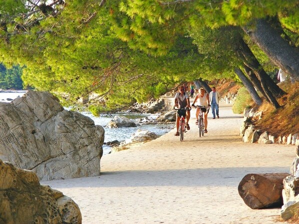Playa en los alrededores 