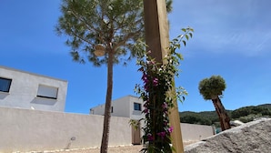 A wooden pergola with climbing plants, a tree, and a building in the background. - NEW HOUSE VILLA PORTO VECCHIO (Porto-Vecchio)