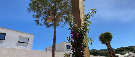 A wooden pergola with climbing plants, a tree, and a building in the background.