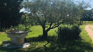 Jardín