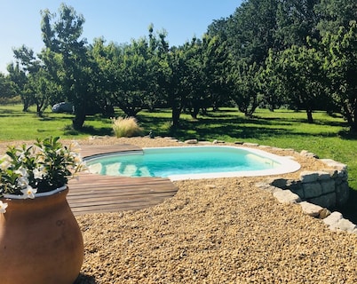 Les Cigales de Manon