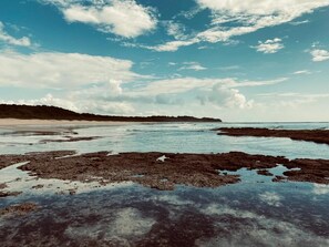 Tuala pantai 