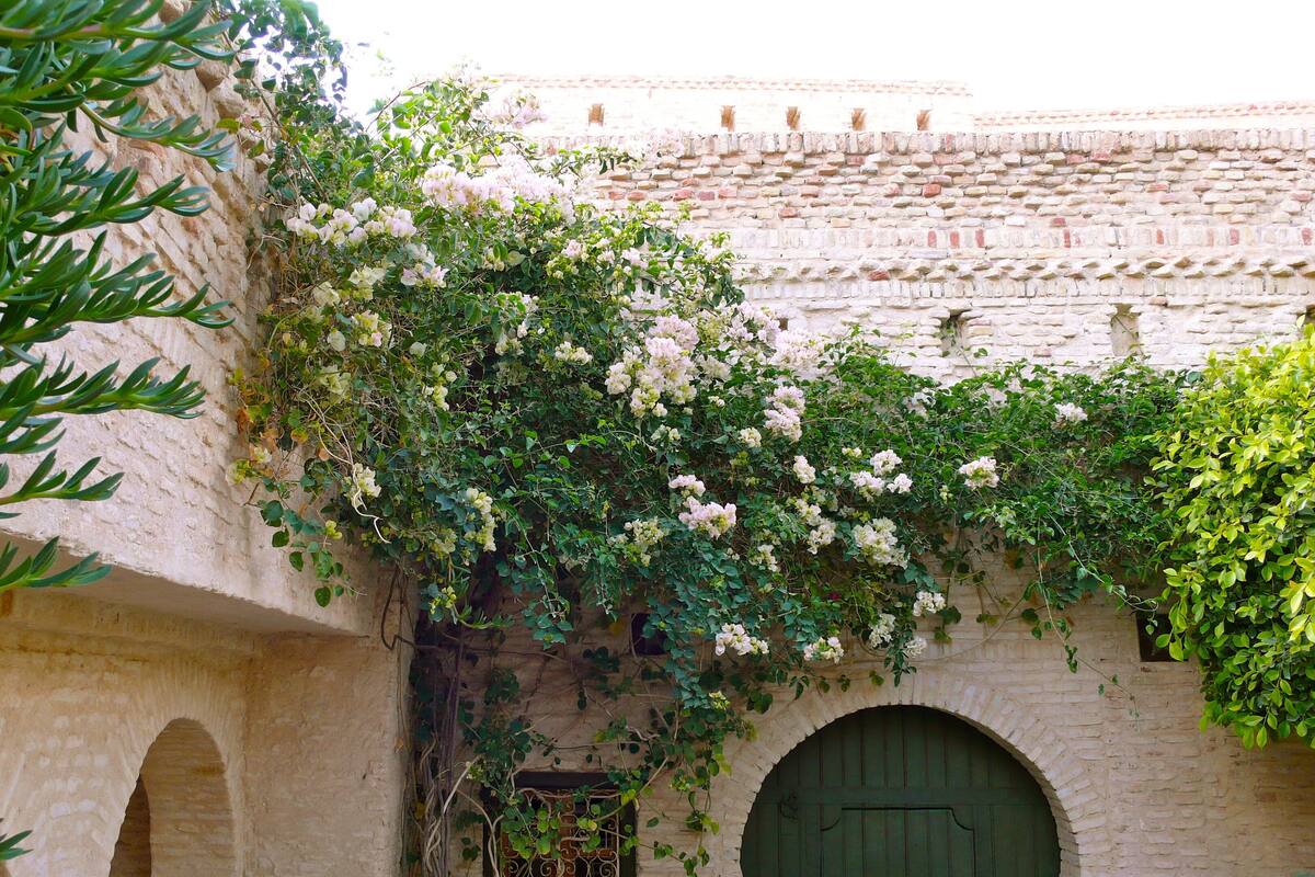 Superior Single Room, Private Bathroom, Garden View (Chambre Mensa)
