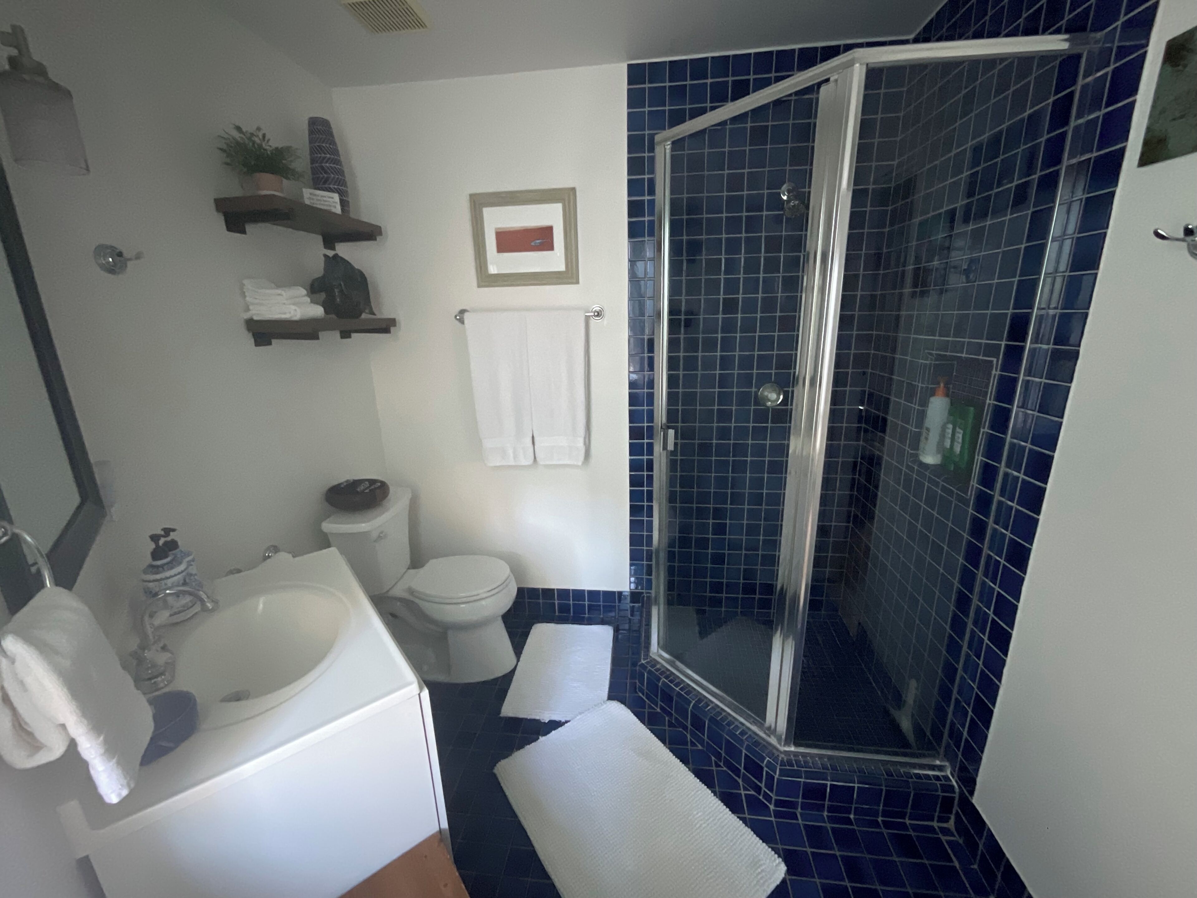 Dusj, hårføner, håndklær og såpe