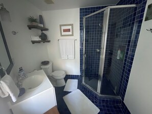 Shower, hair dryer, towels, soap