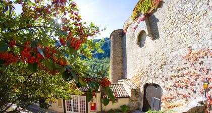 Château Zen, innovative vacations in a changing world.