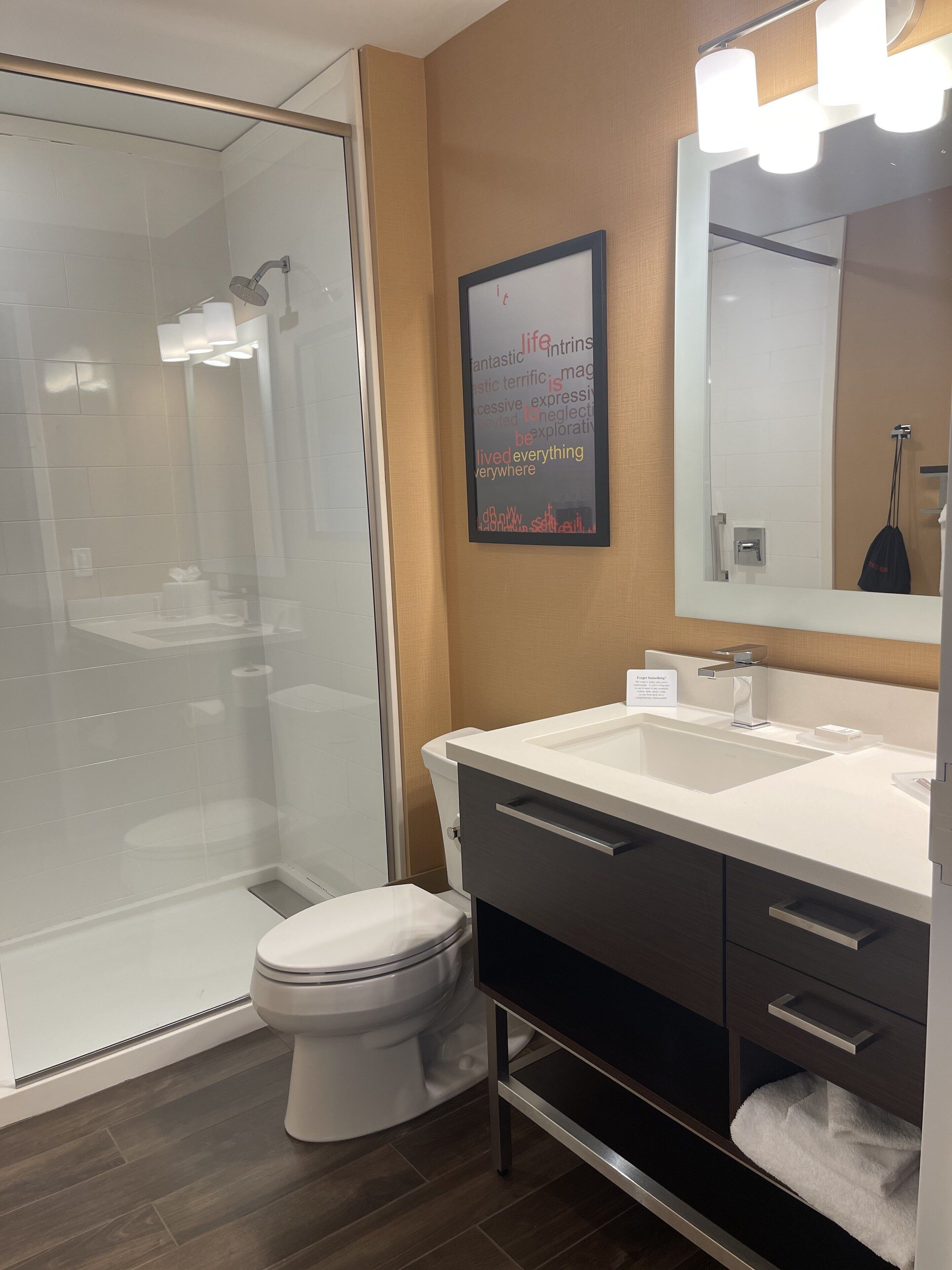 shower, free toiletries, hair dryer, towels