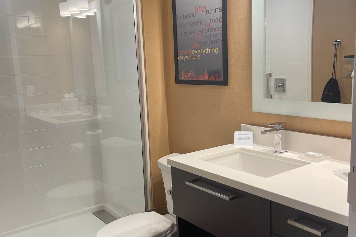 shower, free toiletries, hair dryer, towels