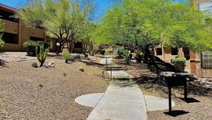 Un patio con un camino, cactus y un edificio de fachada de piedra.