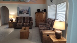 电视、DVD 播放器、书、立体声音响