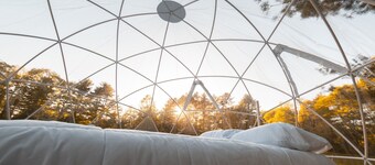 ComfyDome Pond-Side Glamping