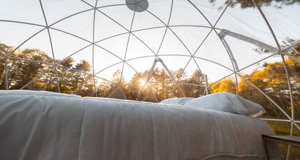 ComfyDome Pond-Side Glamping