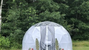 A dome-shaped tent with a clear entrance, set on a wooden platform surrounded by rocks and foliage. - ComfyDome Forest-Side Glamping (Jefferson)